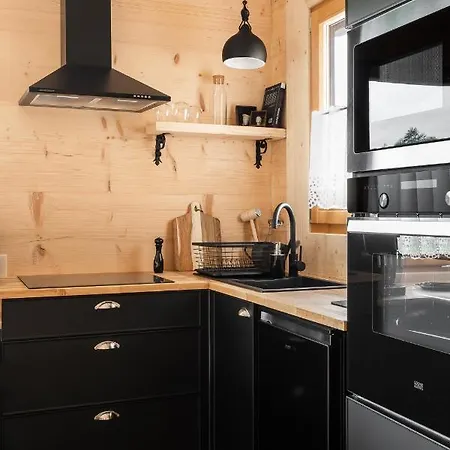 Apartment Zacny Lasek *